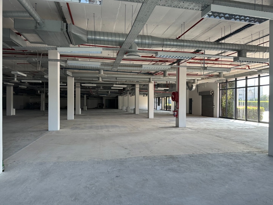 To Let commercial Property for Rent in Observatory Western Cape